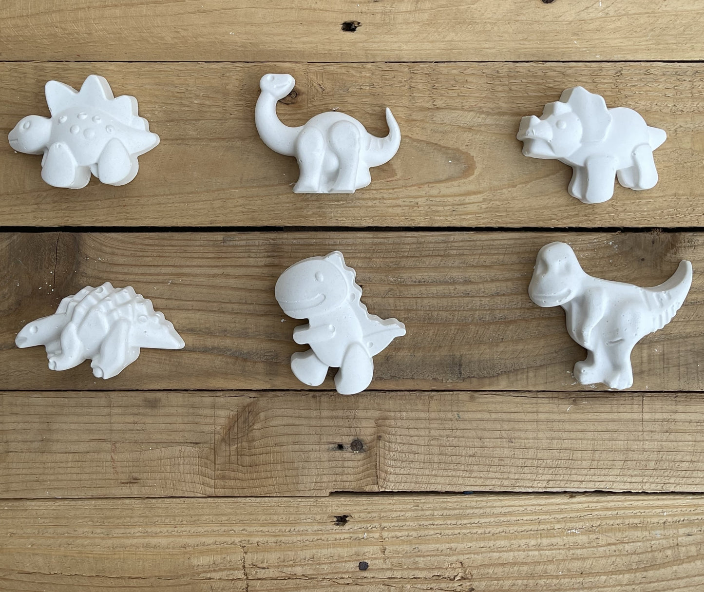 Dinosaur Theme- Large